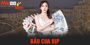 Bầu Cua Bịp - Thủ Thuật Chơi Và Dấu Hiệu Nhận Biết Chuẩn Xác